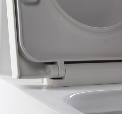 1 Piece Dual Flush Toilet Elongated Bowl 0.8/1.2 GPF Soft Closed Seat