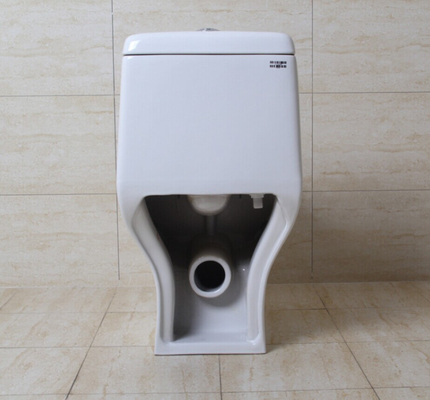 1 Piece Dual Flush Toilet Elongated Bowl 0.8/1.2 GPF Soft Closed Seat