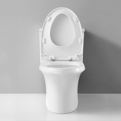 Compact One Piece Toilets Dual Flush 0.8gpf Elongated Bowl 5 Liters