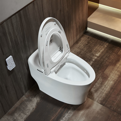 Women Modern Smart Toilet Electric Automatic Flush Intelligent Closet WC