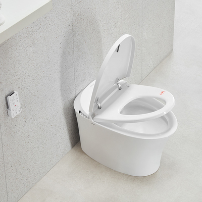 5L Auto Sensor Open Modern Smart Toilet Seat Heat Intelligent Toilet Bathroom