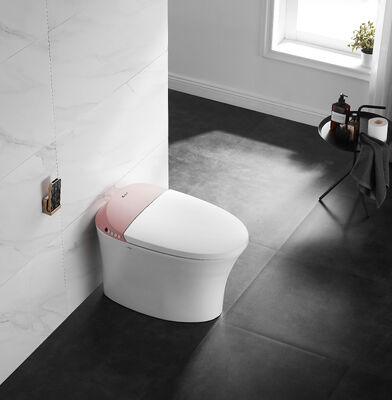 ARROW Brand One-piece Electronic Smart Toilet with Siphon Jet Flushing, Buttocks Washing, and Self-cleaning Smooth Glaze